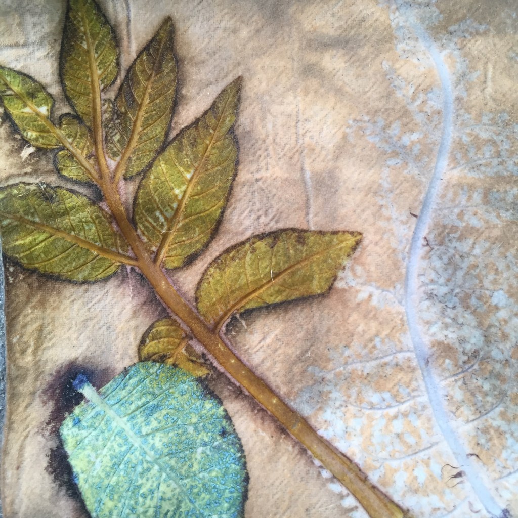 Ecoprint walnoot lente