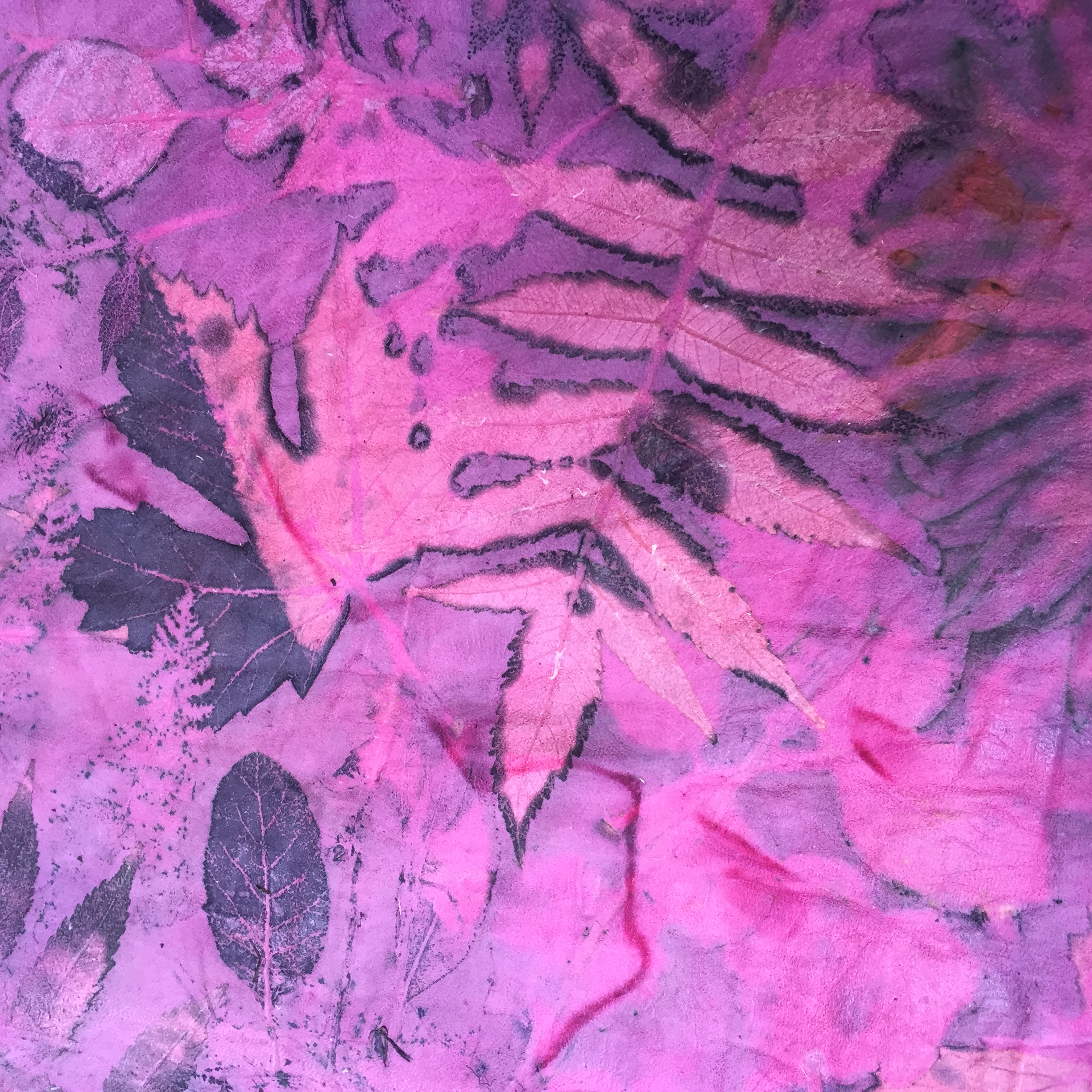 Ecoprinten met cochenille