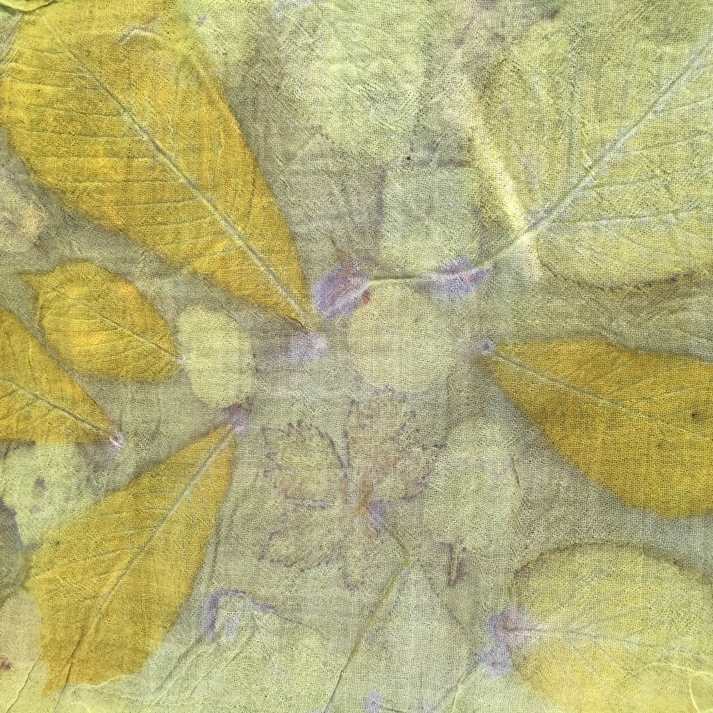 Ecoprinten plantaardig verven