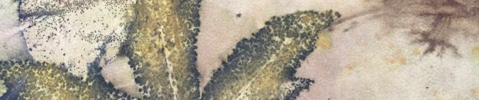 Ecoprint amberboom blad