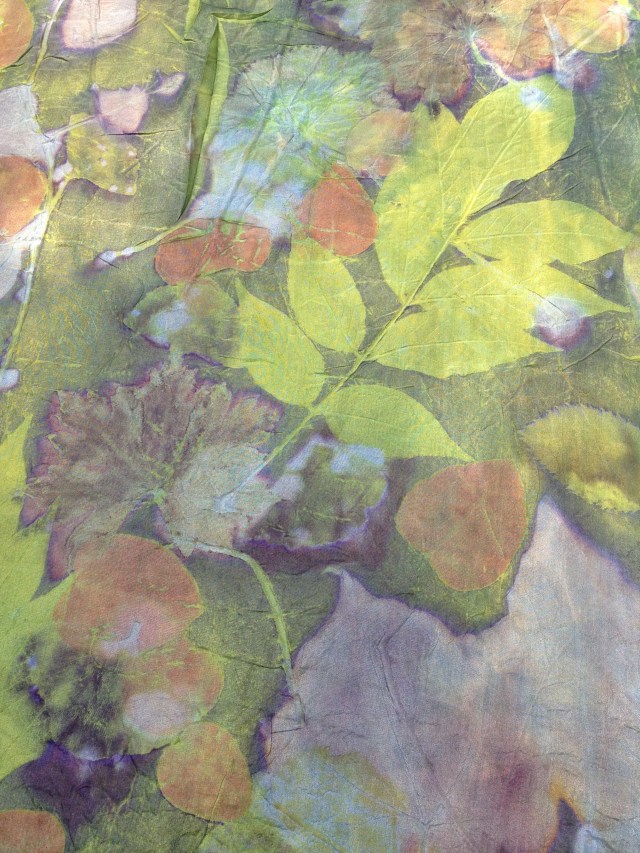 Triple Color Ecoprint workshop