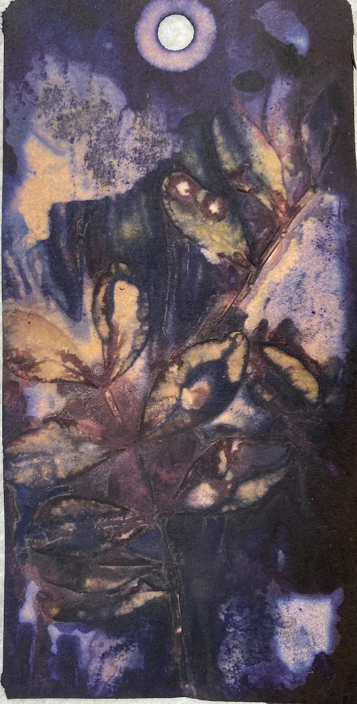 Ecoprint papier blauwhout