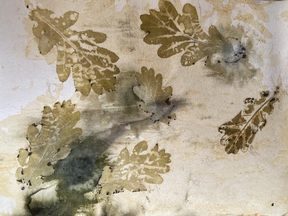 Ecoprint met je kleinkind