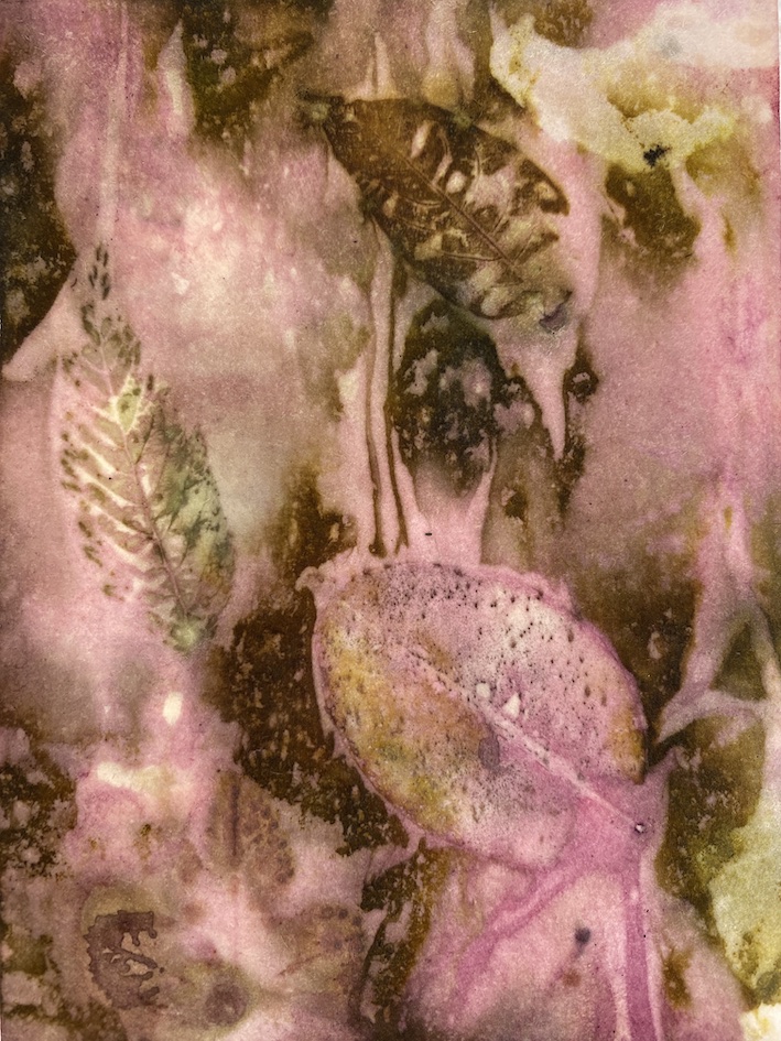 Ecoprint met je kleinkind