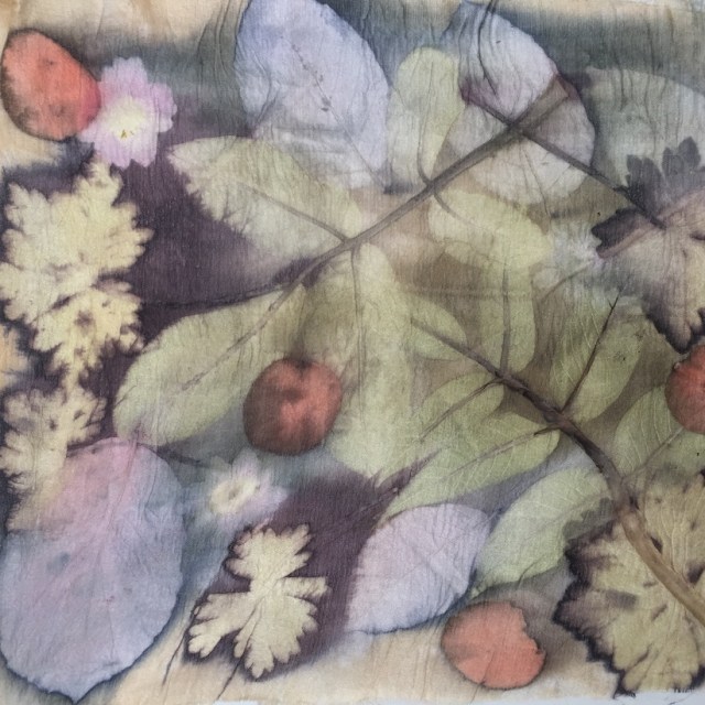 Basis workshop Ecoprint