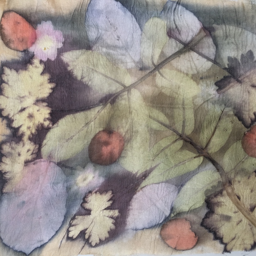 Basis workshop Ecoprint