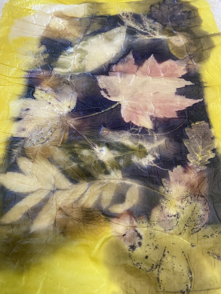 Triple color Ecoprint