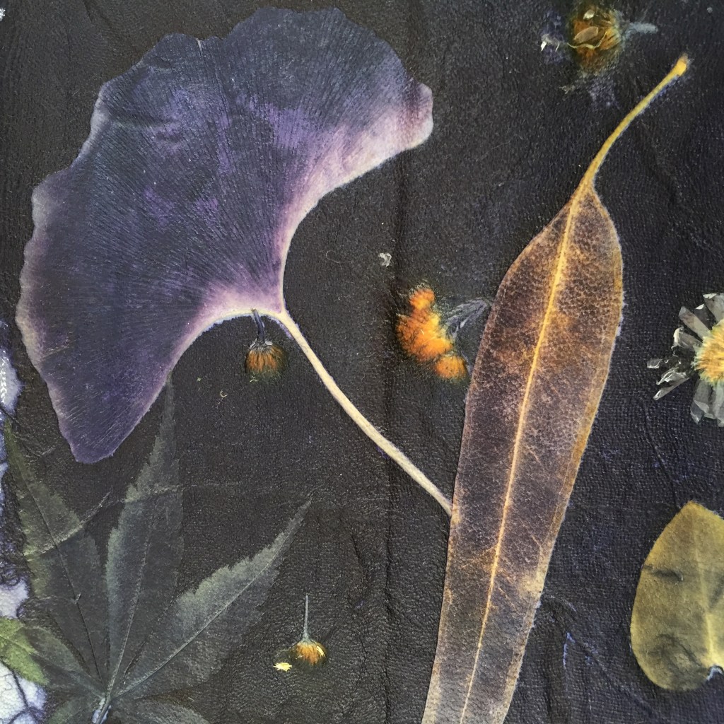 Ecoprinten leer blauwhout