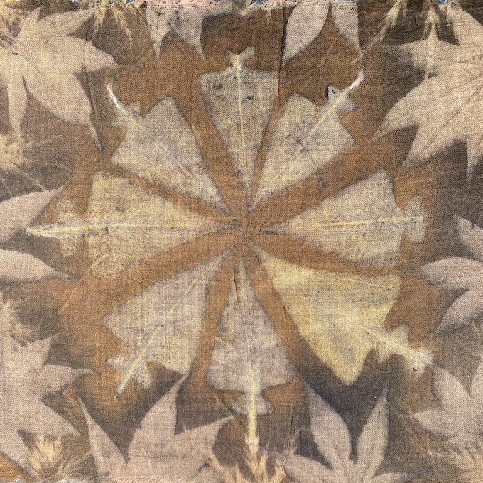 Triple Color Ecoprint Workshop Meekrap madder