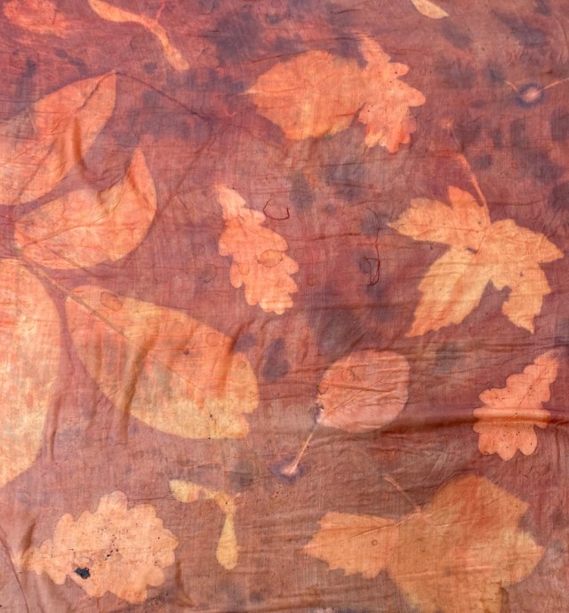 TripleColor Ecoprint Workshop Meekrap