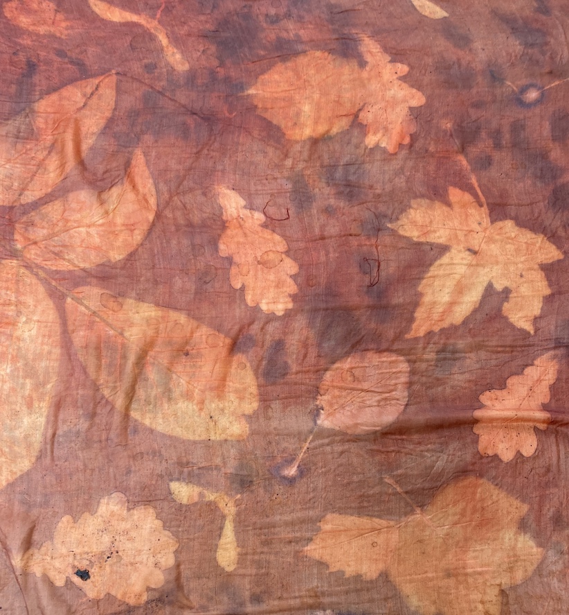 TriplTripleColor Ecoprint Workshop Meekrap