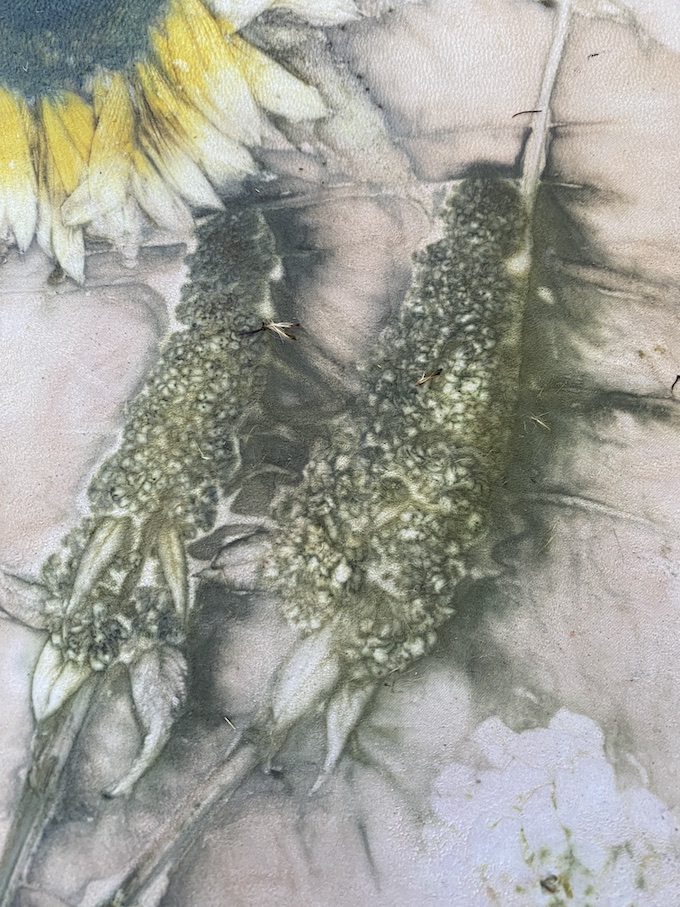 workshop Ecoprinten leer naturel