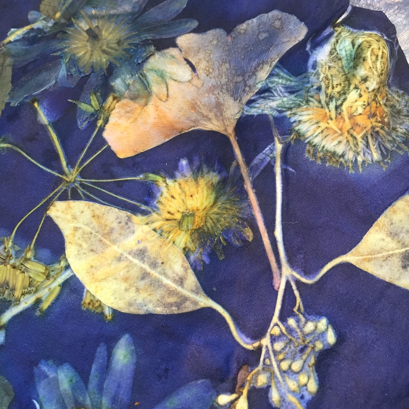 Workshop Ecoprinten leer blauw