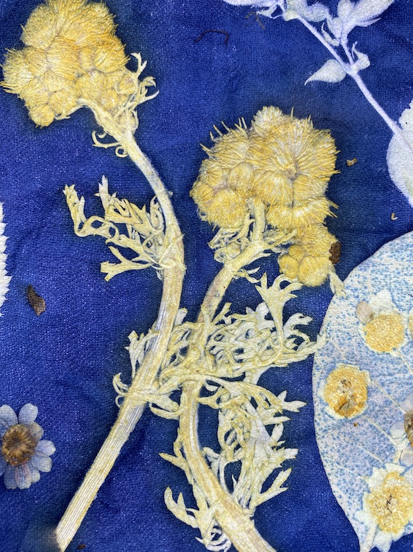 Workshop Ecoprinten leer blauw