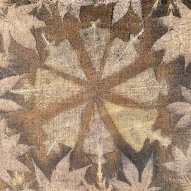 Triple Color Ecoprint Workshop