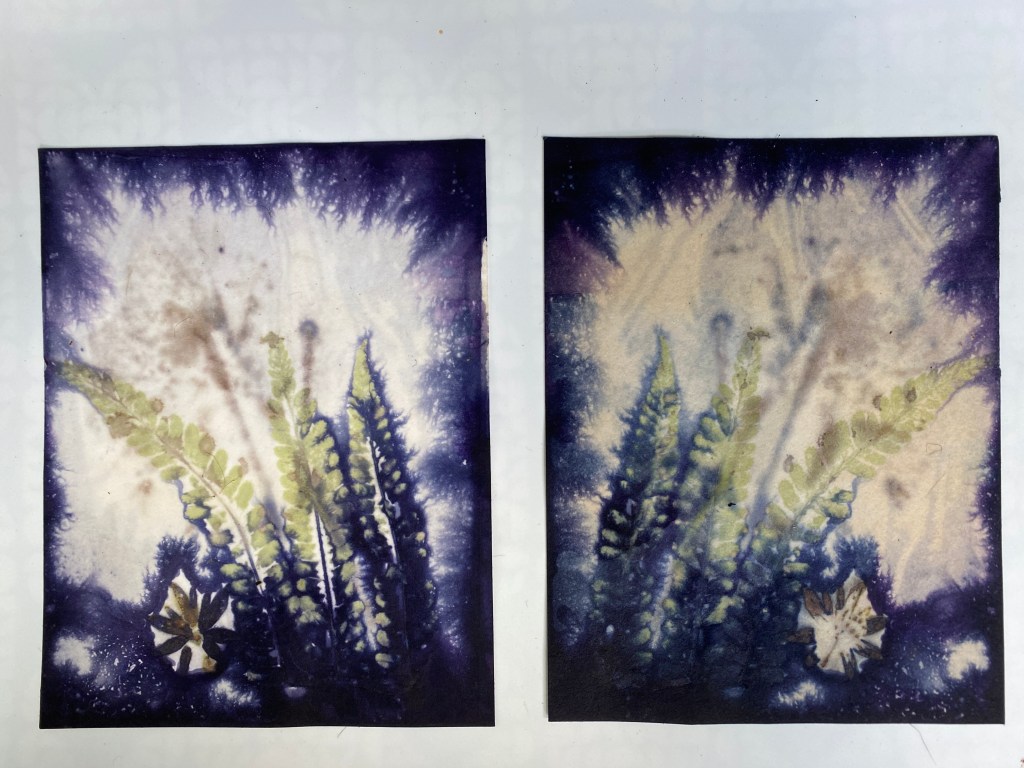 Workshop Ecoprinten papier