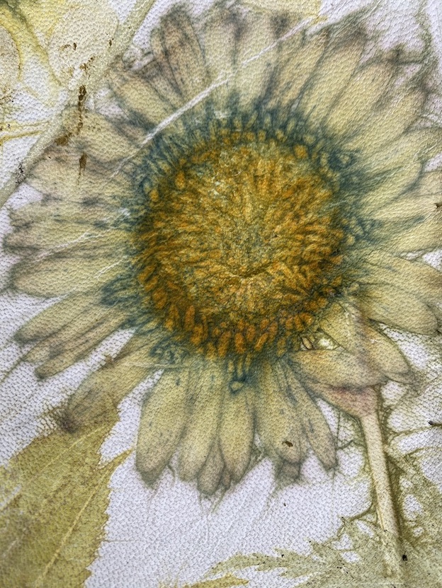 bloemen ecoprinten op koud voorbewerkt leer