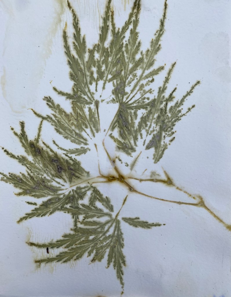 Ecoprint papier