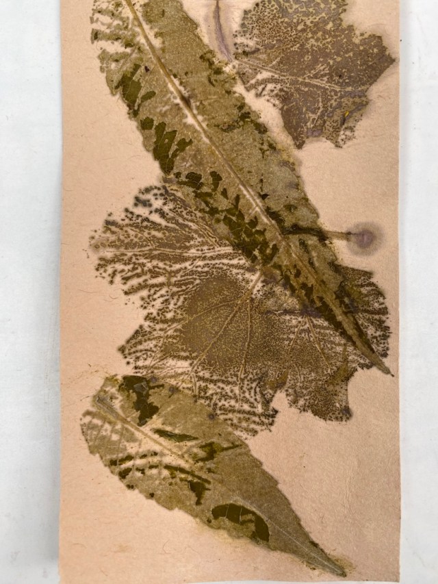 Ecoprint papier