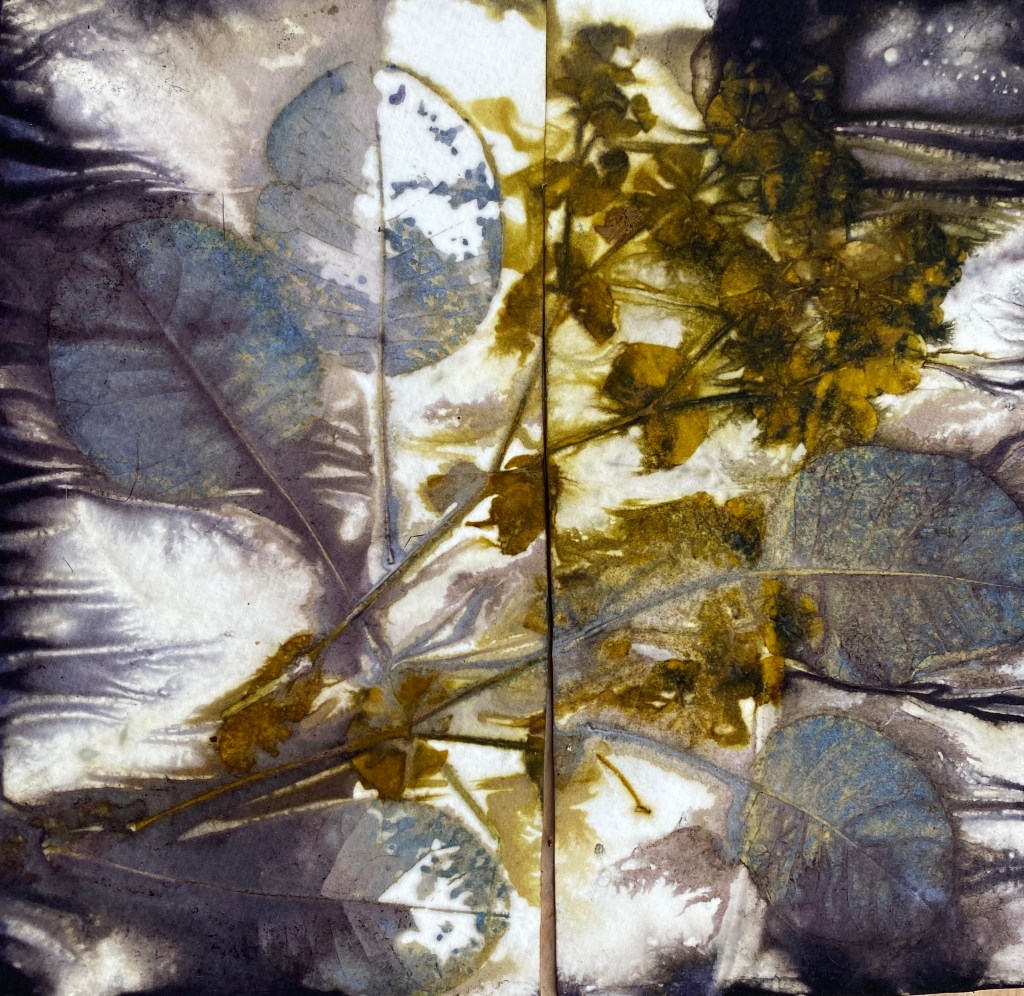 Ecoprint papier