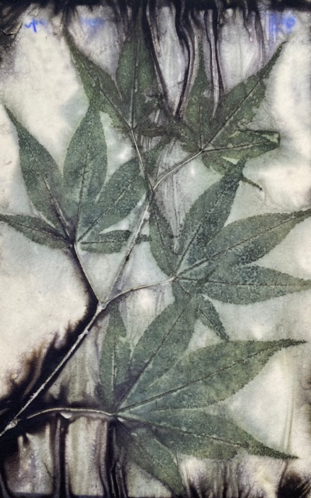 Ecoprint papier