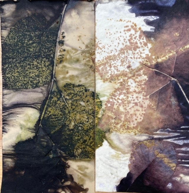 Ecoprint papier