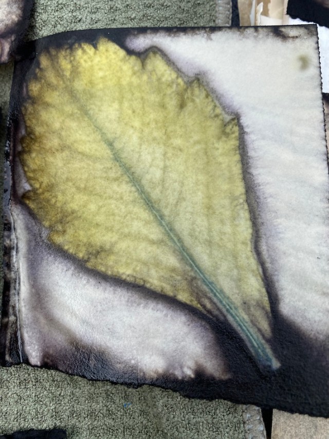 Ecoprint papier