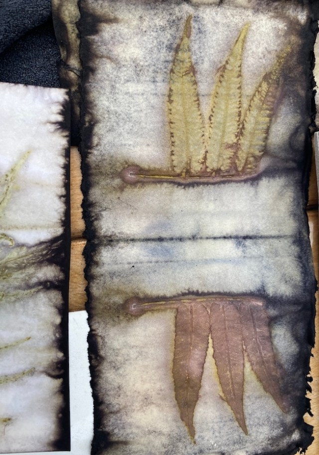 Ecoprint papier