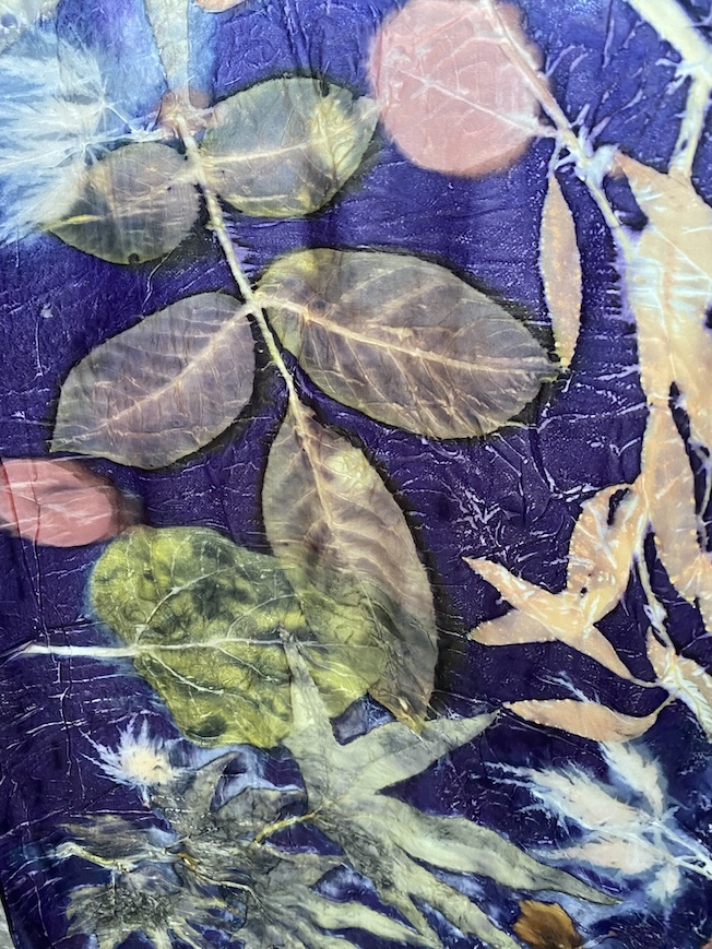 Workshop Ecoprint indigo blauwhout