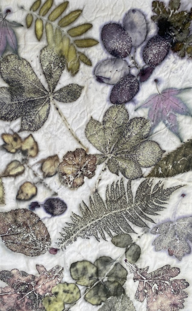 Een close-up van verschillende bladeren en takken in zachte kleuren en texturen, weergegeven op een lichte achtergrond.