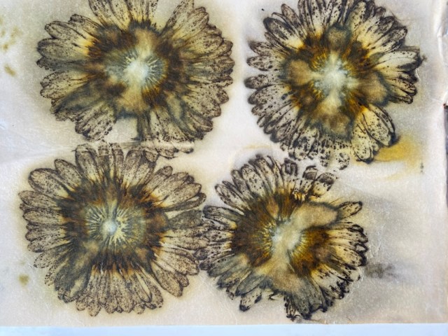 Ecoprint papier
