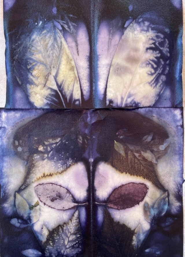 Ecoprint papier